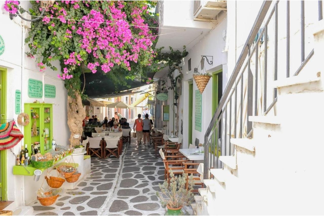 Livadia Seaside Studios 8 Πάρος Εξωτερικό φωτογραφία
